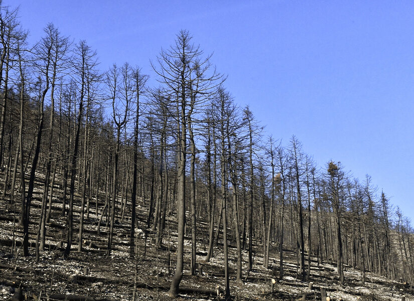 Η Κλιματική Αλλαγή είναι εδώ! – Μέτρα προσαρμογής, Δημήτρης Μαυράκης