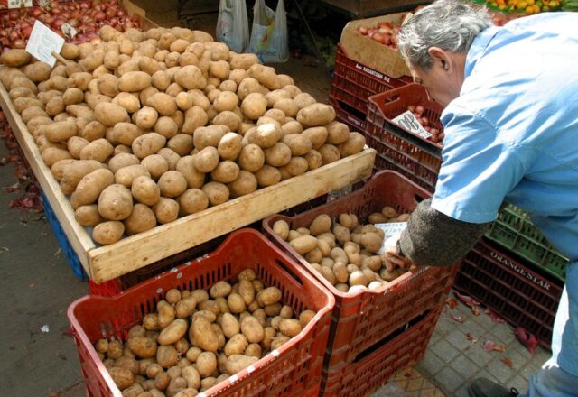 Πώς έφτασε η πατάτα στην Ελλάδα – Ο ρόλος του Καποδίστρια, Γιώργος Μουσταϊρας