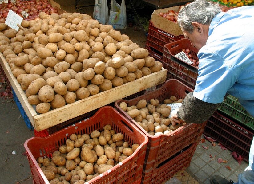 Πώς έφτασε η πατάτα στην Ελλάδα – Ο ρόλος του Καποδίστρια, Γιώργος Μουσταϊρας