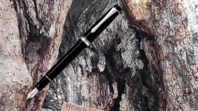 Τι αξίζει να δείτε στο Αίγιο, Μελαχροινή Μαρτίδου