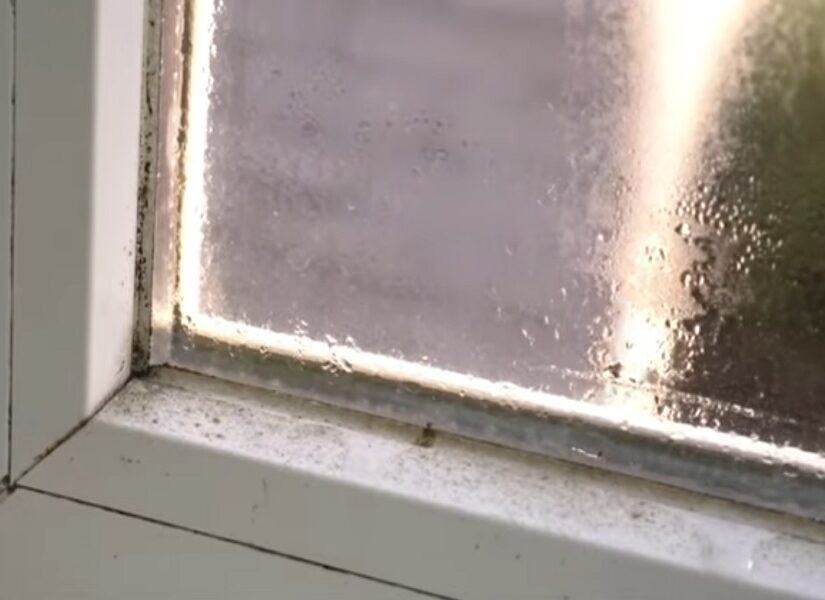 Πώς να προλάβετε την υγρασία στο σπίτι, Νίκολέτα Γιαννοπούλου