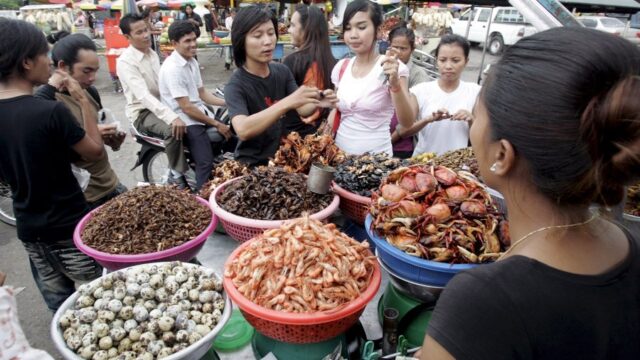 Από το αγροτοκτηνοτροφικό ζήτημα στην εντομοφαγία, Ευγενία Σαρηγιαννίδη