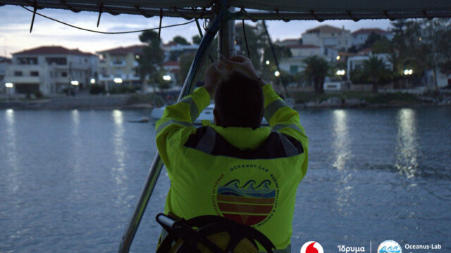Vodafone Posidonia: Ολοκληρώθηκε η χαρτογράφηση των λιβαδιών Ποσειδωνίας σε Ανατολική Πελοπόννησο και Αργοσαρωνικό
