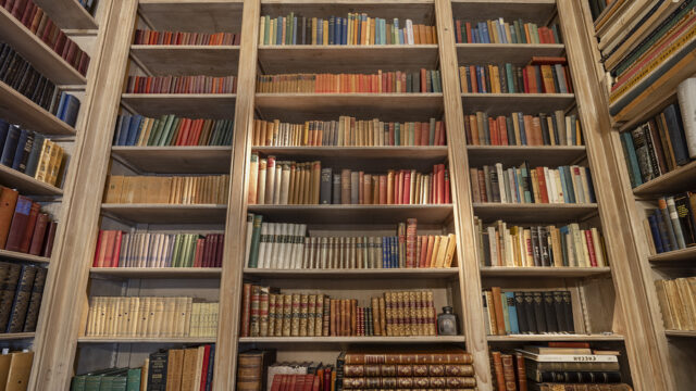 Για να μην γίνει ιστορικό κατάλοιπο η ελληνική γλώσσα, Ελευθέριος Τζιόλας