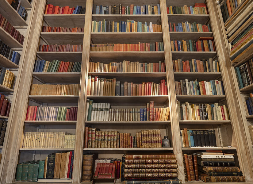 Για να μην γίνει ιστορικό κατάλοιπο η ελληνική γλώσσα, Ελευθέριος Τζιόλας