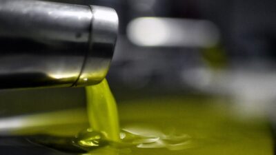 Ελαιόλαδο, ο "χρυσός" της μεσογειακής γης, Πάρης Παπαχρήστος