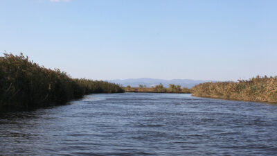 Δύο άνδρες νεκροί στον Έβρο