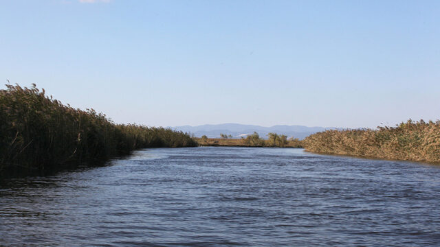 Δύο άνδρες νεκροί στον Έβρο