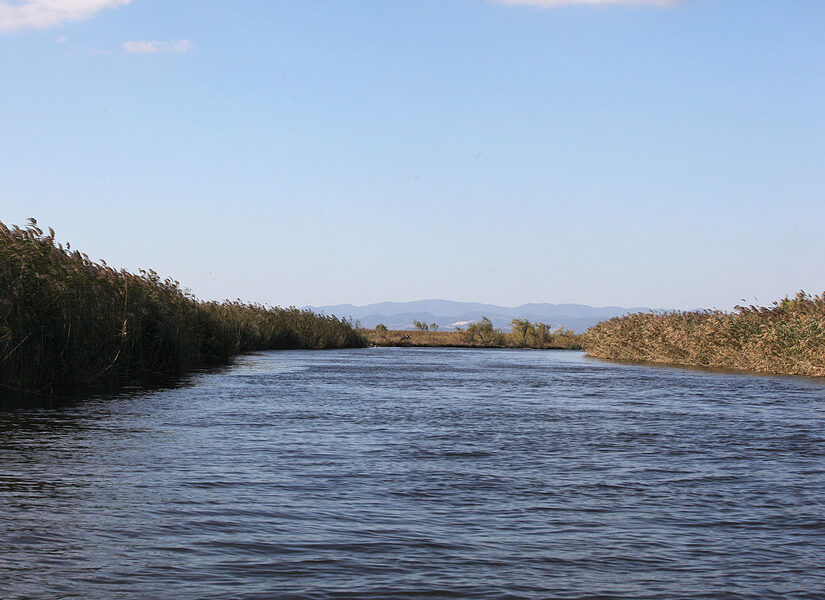 Δύο άνδρες νεκροί στον Έβρο