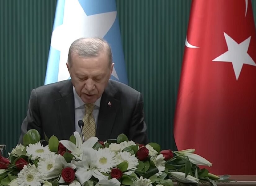 Η Τουρκία στην σκακιέρα της Ερυθράς Θάλασσας, Βάνα Στέλλου