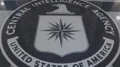 Περί της διοίκησης μιας υπηρεσίας πληροφοριών – Αρχές και εκφυλιστικά φαινόμενα, Νίκος Λάος