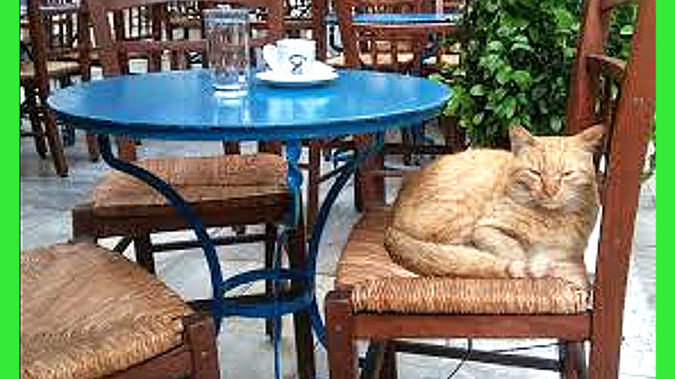 ελληνικός καφές Σαββόπουλος