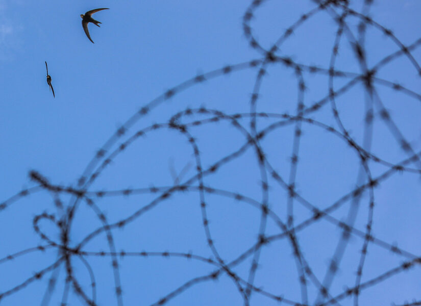 ΕΟΚΑ: Ο μεγάλος πόλεμος της μνήμης κατά της λήθης, Κώστας Βενιζέλος