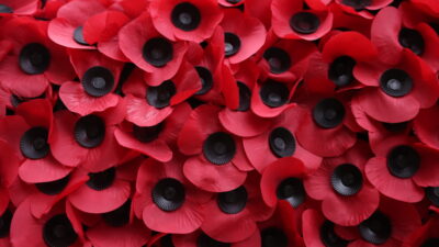 Η παπαρούνα ως σύμβολο μνήμης, θάρρους και συμπόνοιας!, Νικολέτα Γιαννοπούλου