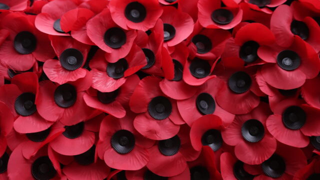 Η παπαρούνα ως σύμβολο μνήμης, θάρρους και συμπόνοιας!, Νικολέτα Γιαννοπούλου