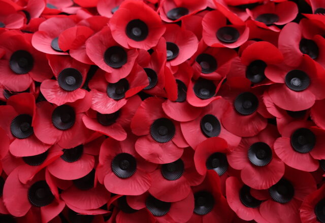 Η παπαρούνα ως σύμβολο μνήμης, θάρρους και συμπόνοιας!, Νικολέτα Γιαννοπούλου