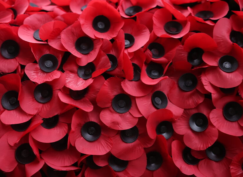 Η παπαρούνα ως σύμβολο μνήμης, θάρρους και συμπόνοιας!, Νικολέτα Γιαννοπούλου