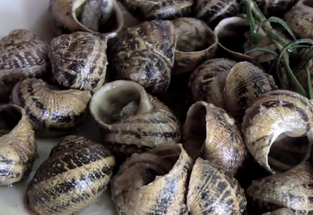 Σύντροφοι στη νηστεία μας τα σαλιγκάρια