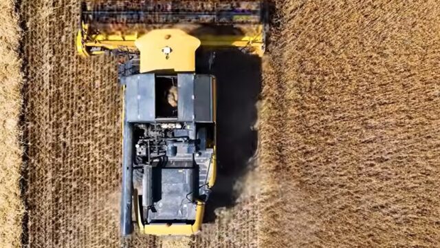 Ε όχι κυρία “Κ” και σύνδρομο των Σερρών!