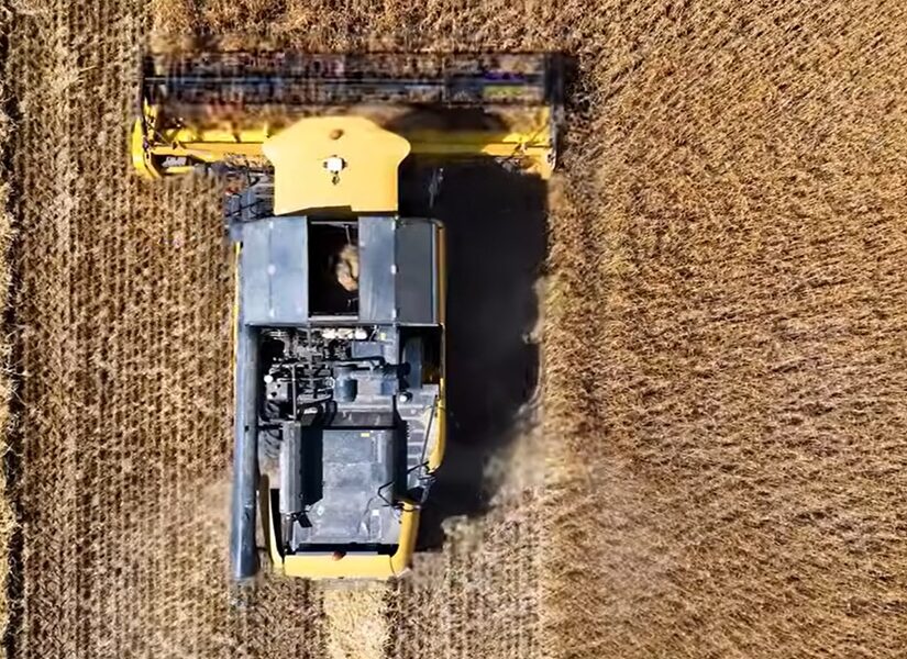 Ε όχι κυρία “Κ” και σύνδρομο των Σερρών!