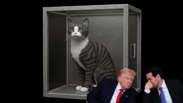 Η ασάφεια του πολέμου στον Κόλπο και η γάτα του Schrödinger, Ευθύμιος Τσιλιόπουλος