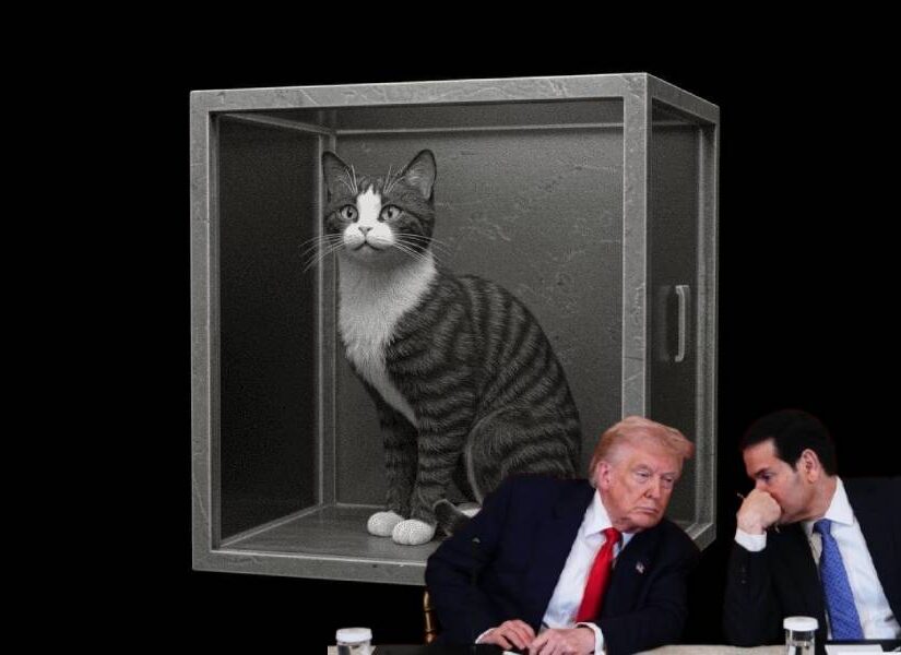 Η ασάφεια του πολέμου στον Κόλπο και η γάτα του Schrödinger, Ευθύμιος Τσιλιόπουλος