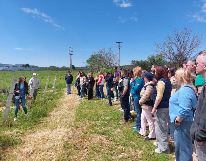 Όμιλος Επιχειρήσεων Σαρακάκη-Δράση Εταιρικής Βιωσιμότητας: Ξενάγηση Αρχαιολογική Ανασκαφή Μαραθώνα & Οινογευσία Κτήμα Κώστα Λαζαρίδη
