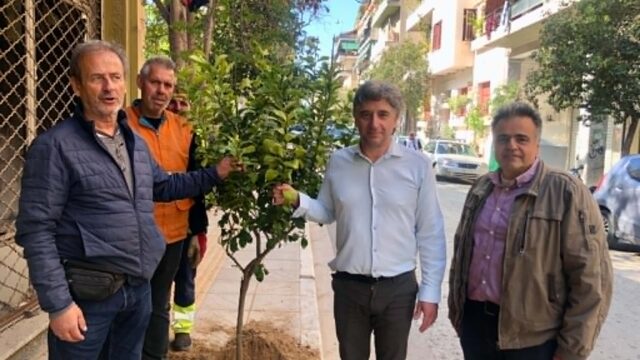 12.304 νέα δέντρα στην Αθήνα και λεμονιές στον Άγιο Παύλο