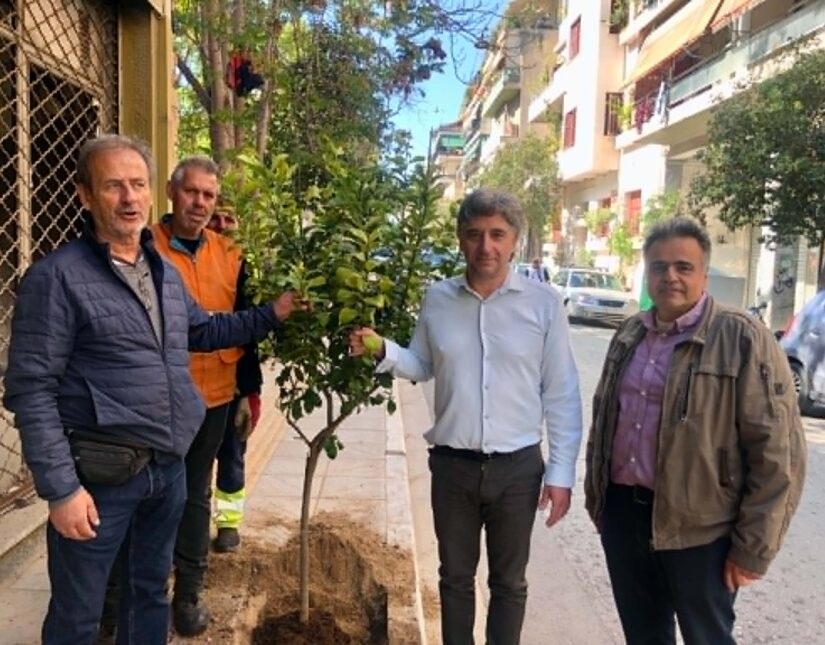 12.304 νέα δέντρα στην Αθήνα και λεμονιές στον Άγιο Παύλο