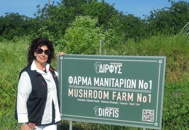 Ελληνικά μανιτάρια κατακλύζουν (ή γέμισαν τα ράφια) Νέα Υόρκη και Άγιο Δομίνικο! Μελαχροινή Μαρτίδου