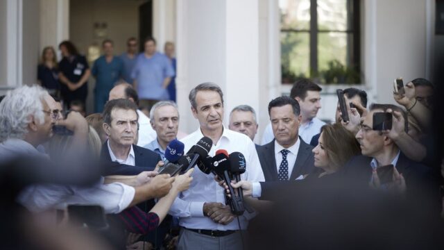 Πόλωση και στρατηγική επαναληπτικής κάλπης από τον Μητσοτάκη, Σπύρος Γκουτζάνης