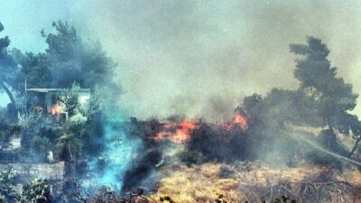Πότε ψηφίστηκε ο πρώτος νόμος για τους εμπρησμούς και γιατί δεν εφαρμόστηκε, Σταύρος Μαλαγκονιάρης