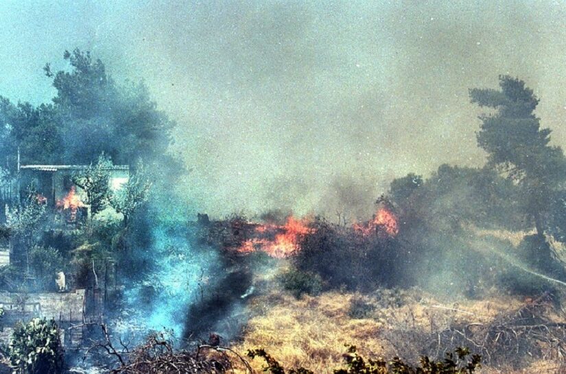 Πότε ψηφίστηκε ο πρώτος νόμος για τους εμπρησμούς και γιατί δεν εφαρμόστηκε, Σταύρος Μαλαγκονιάρης