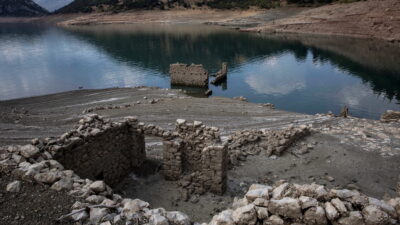 Η απραξία μας θα ερημοποιήσει την Κρήτη και τη μισή Πελοπόννησο, Ελευθέριος Τζιόλας