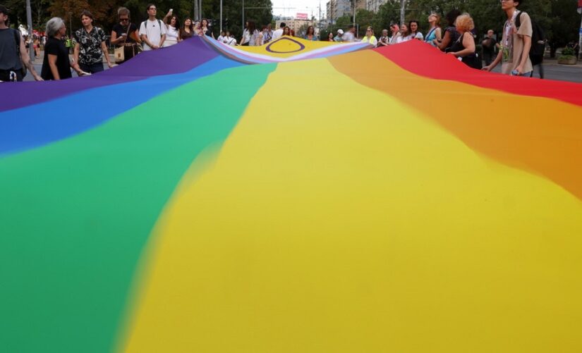 Τουρκία: Έφοδοι σε οργανώσεις ΛΟΑΤΚΙ – Πάνω από 100 συλλήψεις, Βάνα Στέλλου