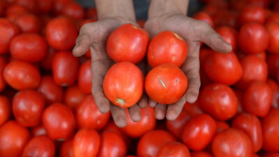 Ποια τρόφιμα επηρεάζουν την υγεία του προστάτη